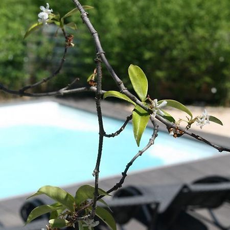 Saint-Siffret Les Centaurines B&B 외부 사진